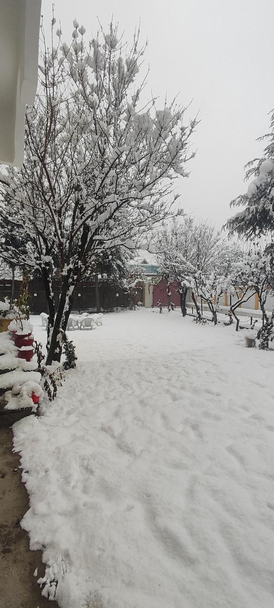 The Clover Inn Srinagar  Exterior photo